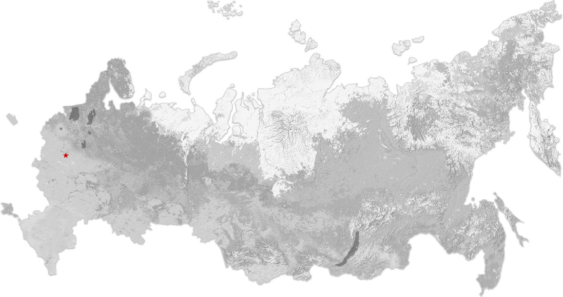 Компании холдинга | Газпром энергохолдинг индустриальные активы